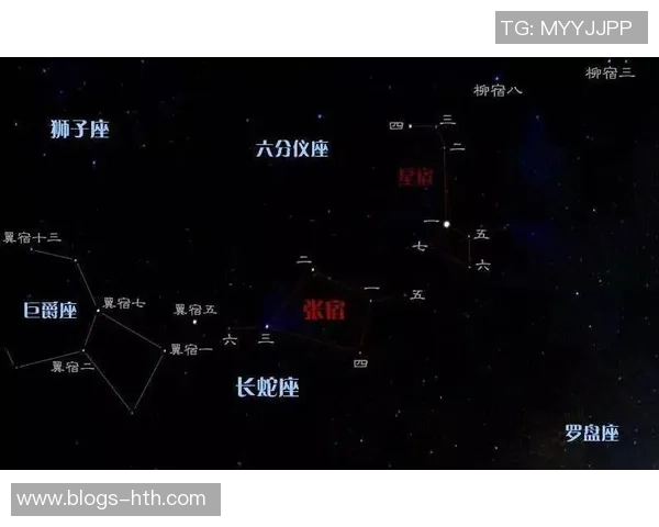 中央脉搏与北方星的精彩对决比分分析及赛后点评